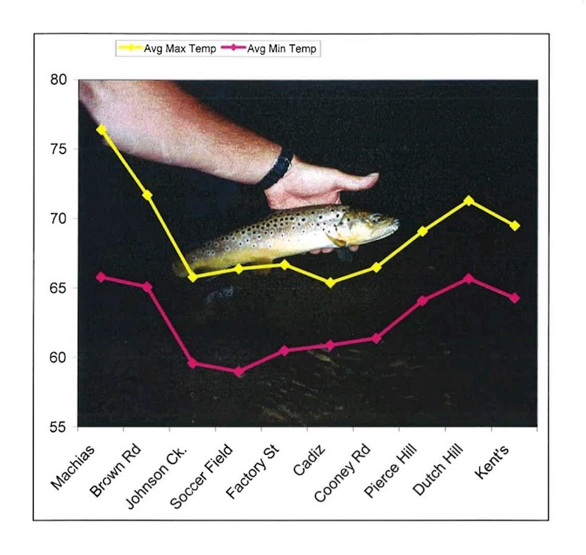 Graph 2: Average Maximum and Minimum Temperatures at Specified Locations (NYSDEC 2002)